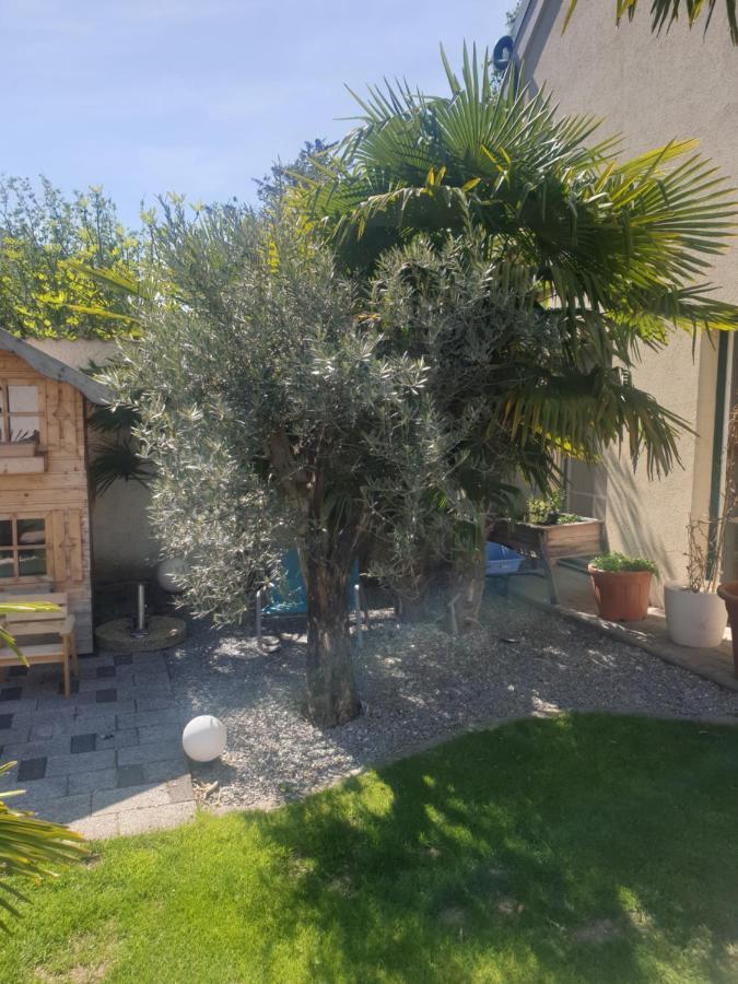 Ferienhaus Apetlon Exteriör bild
